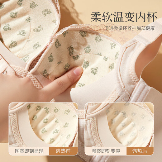FENTENGCARE Small Breasts Look Bigger Lace Underwear Women's Bra Without Wires Push-up Breast Reduction Prevent Sagging No Empty Cup YR