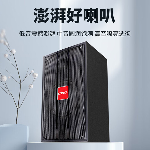 KONKA KTV audio set complete equipment home theater karaoke box conference stage speakers can be used with the karaoke machine stuck OK all-in-one machine K06
