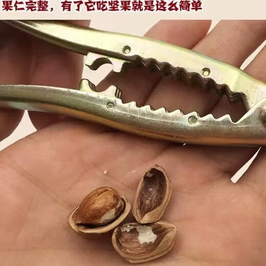 Jieyi hazelnut clip artifact hazelnut clip pine nut opener pine nut clip nut clip nut shell opener walnut clip 1 dried fruit clip