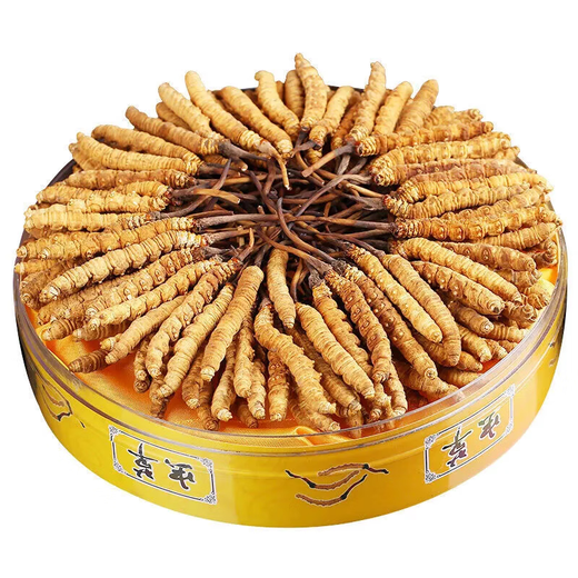 Beijing Tongrentang Quality Cordyceps Lhasa Shipping Authentic Cordyceps Gift Box Pack Broken Cordyceps Dry Gift Gift Gift Box Gift Gift Gift Gift Gift Gift Gift Gift Gift Gift Gifts 50g Selected Big Broken Cordyceps [Family Practical]