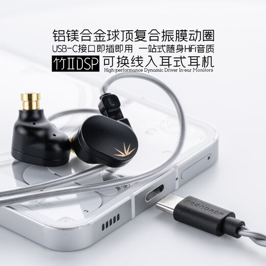 Shuiyueyu Bambus II In-Ear-Dynamik-Spulenkopfhörer mit schaltbarem Drahtdesign HiFi-Fieber Hochleistungsstarke Ohrstöpsel 0,78 Dual Pin Bamboo 2 [DSP-Version]