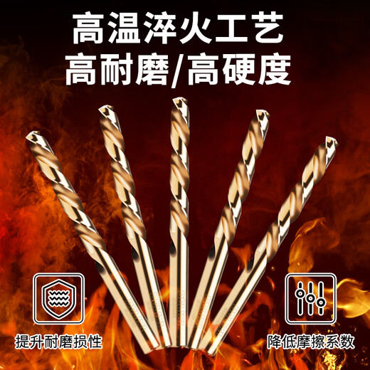 Delixi Electric High Hardness Twist Drill Bit Stainless Steel Alloy Steel Drilling 19-piece Set Official Standard