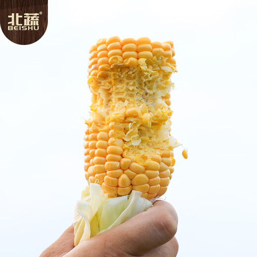 北蔬 超甜水果玉米种子种苗四季蔬菜籽 苏科甜1506玉米种子50g约350粒