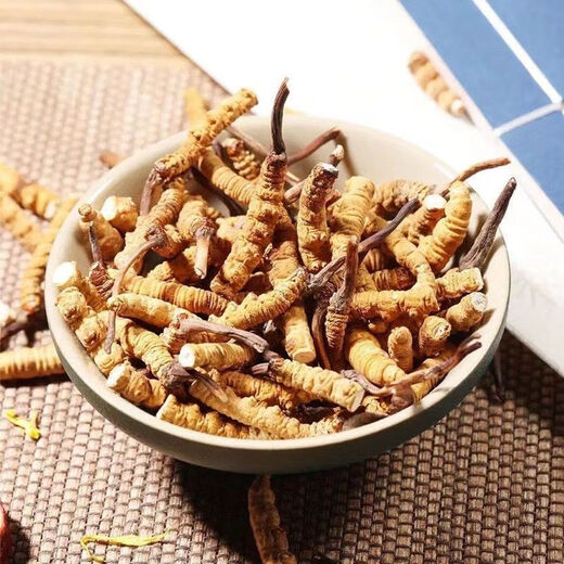 Beijing Tongrentang Quality Cordyceps Lhasa Shipping Authentic Cordyceps Gift Box Pack Broken Cordyceps Dry Gift Gift Gift Box Gift Gift Gift Gift Gift Gift Gift Gift Gift Gift Gifts 50g Selected Big Broken Cordyceps [Family Practical]