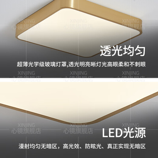 心镜全铜户外吸顶灯别墅超薄入户门灯走廊过道阳台灯露台防蚊虫庭院灯 X3893-300/方形
