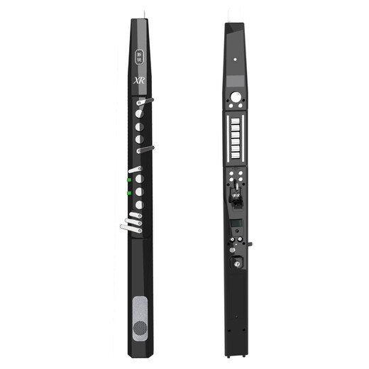 新锐【官方正品】全新XR6000电吹管国产乐器大全中老年电萨克斯葫芦丝 新锐XR6000【标配】+豪华礼包