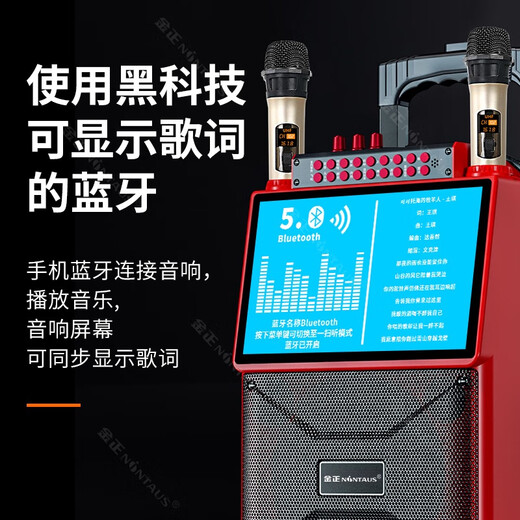 Jinzheng square dance audio with display screen wireless microphone Bluetooth home ktv singing karaoke karaoke machine integrated video outdoor trolley speaker outdoor audio 1033 21# Bluetooth version + single microphone