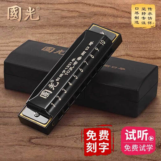 国光10孔布鲁斯蓝调口琴初学者复音c调正品学生自学成人十孔入门口琴 10孔C调黑色【初学入门款】