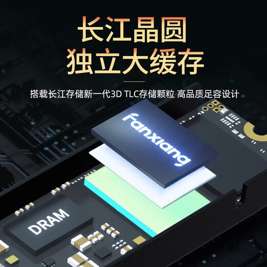 FANXIANG S500PRO / S690 / S790 SSD M.2 NVME Protocol Yangtze Storage PCIE4.0 1TB 2TB FANXIANG S7901TBPCIE4.0 Standard: Équipement de chaleur + vis
