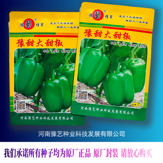 Yuyi pepper seeds, field screw pepper seeds, Academy of Agricultural Sciences seeds, vegetable seeds, authentic green and red pepper seeds, Yuyi large sweet pepper, thick-fleshed large sweet pepper, 5g, original and authentic, buy with confidence, 1 bag