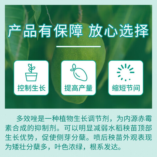 Guoguang 15% paclobutrazol fruit tree plant flower chrysanthemum lily succulent wheat rice dwarfing agent short and strong control 18g
