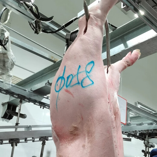 德国原装进口辉柏嘉698猪肉类专用记号笔防水防油猪用蓝色水溶彩铅笔牛羊猪肉标记笔屠宰笔彩色盒装单只 肉类标记笔【2支装】