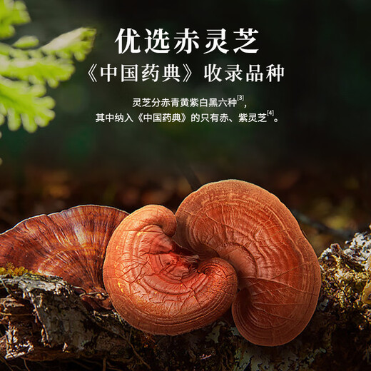 Lei Yunshang [Officially direct sale] 90 capsules of broken wall Ganoderma lucidum spore powder capsules/bottle Red Ganoderma lucidum, actual payment of 200 units SF Express 4 bottles 126g