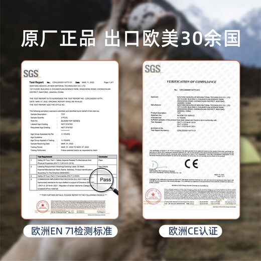 Zhenyou Pet Dog Toy Bouncy Ball Solid Bite-Resistant Dog Training Artifact Large, Medium and Small Teddy Unbreakable Puppy Toy 6.5cm