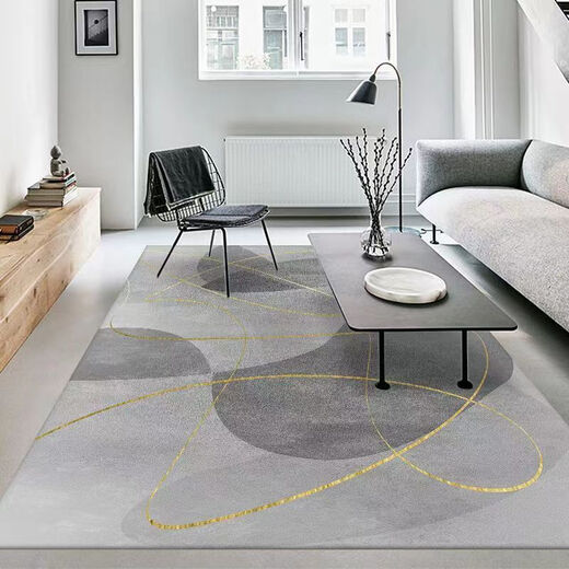 Xuxian light luxury living room carpet floor mat coffee table mat bedroom living room carpet home entrance anti-slip mat large area carpet light luxury-13 200*300 cm