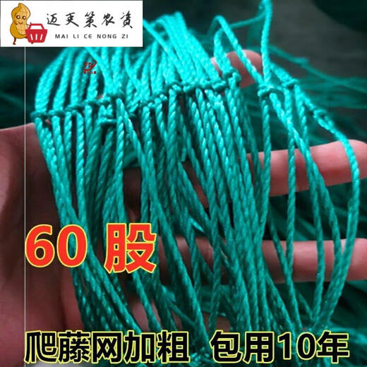 植物爬藤网专用网瓜棚网黄瓜攀藤网豆角爬藤网农用种百香果爬藤网 4米宽5米长-854