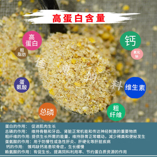 Laying hen feed, laying hen full price feed, grains, medium and large chicken household corn crumbs to feed chickens, quail, ducks and geese, laying hen full price feed, 2 Jin Jin is equal to 0.5 kg
