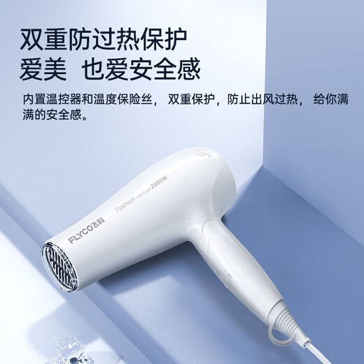 FLYCO 飞科电吹风机家用吹风筒速干恒温冷热风学生宿舍可折叠大功率电吹风筒 FH6232【恒温6档调节 2000W】
