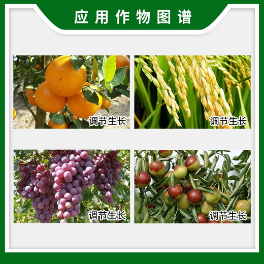 Keibao American Keibao gibberellic acid 920 plant growth regulator grape germination elongation agent gibberellic acid pesticide 1g*1000 bags