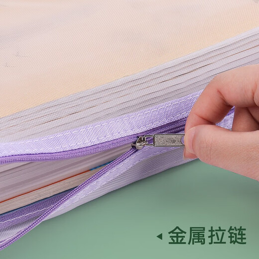 递乐A4文件袋大容量拉链袋学生网纱试卷学科目分类袋收纳作业资料补习袋 三层1484 作业款 双层网纱补习袋 作业款