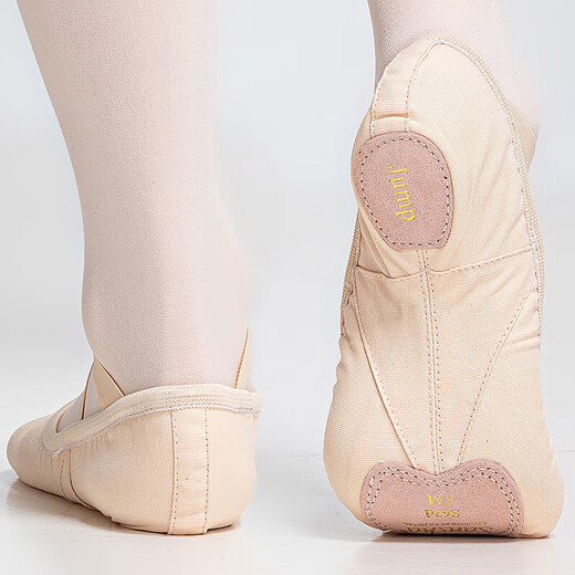 Sansha Dance Shoes Shoes Ballet The Practice Shoes Soft Shoes Micro-Slide Cat Claw Shoes S62d Pink 36