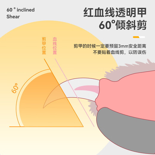 Huayuan Pet Tools (hoopet) Cat Nail Clippers Special Lighted Pet Nail Clipper Nail Trimmer Nail Cutting Anti-Bleeding Line Cat Nail Clipper Can Illuminate Blood Line Lighted Crescent Scissors-Grass Green