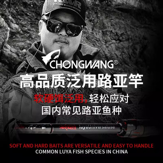 虫王路亚虫王临路亚竿直柄枪柄快调进口微物新手入门远投翘嘴鲈鳜泛用虫竿 2.04m 虫王临【枪柄682-M】