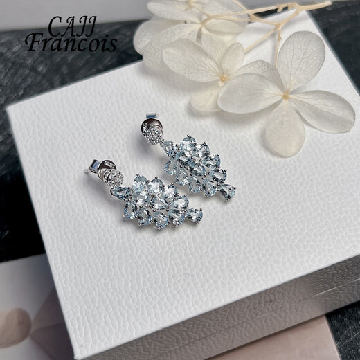 CAJJ Francois Aquamarine Earrings for Women Natural Colorful Jewelry Gemstones 925 Silver Inlaid Aquamarine Earrings