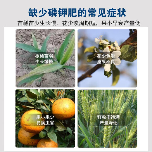 Potassium phosphate foliar fertilizer for agricultural fruit trees and vegetables, fruit expansion, color control, disease resistance, fruit preservation, phosphorus and potassium water-soluble fertilizer 1500g*12 bottles