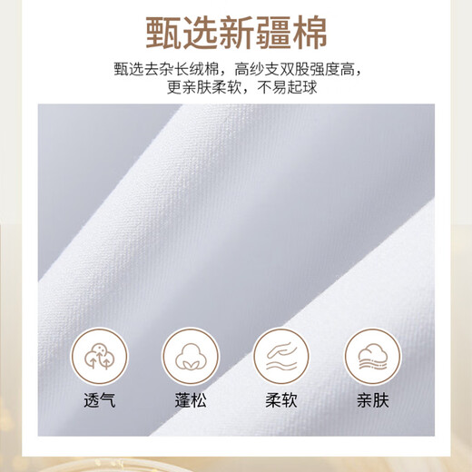 Catman long-sleeved shirt women's white professional 2025 autumn commuting formal professional work clothes white shirt white 37