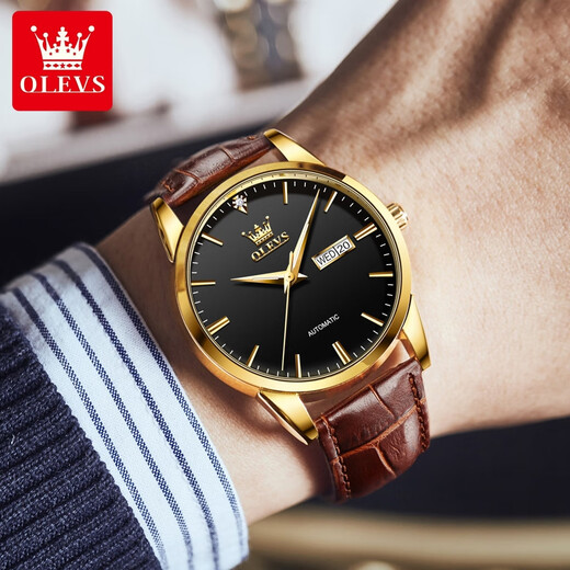 OLEVS Swiss Certified Watch Mechanical Watch Mechanical Watch Totalmente automático Moda impermeable Luminosa Business Men's Watch Olevs-6629 Men-Brown Cuero Negro Cara