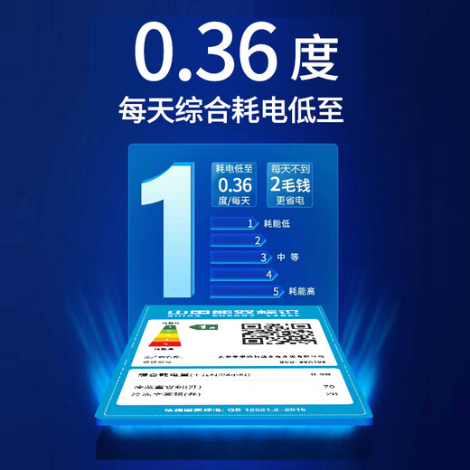 Royalstar Doppeltür-Kühlschrank, klein, Mini, Klasse 1, Energieeffizienz, Kühlschrank mit Gefrierfach, Vermietung, Haushaltskühlschrank 98A168, Klasse 1, Energieeffizienz, etwa ein Watt Strom in drei Tagen