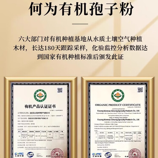 Quanyan Organic Ganoderma lucidum spore powder genuine Ganoderma lucidum spore powder 500g gift box head spores to the leader elder gift box Jinming wooden box