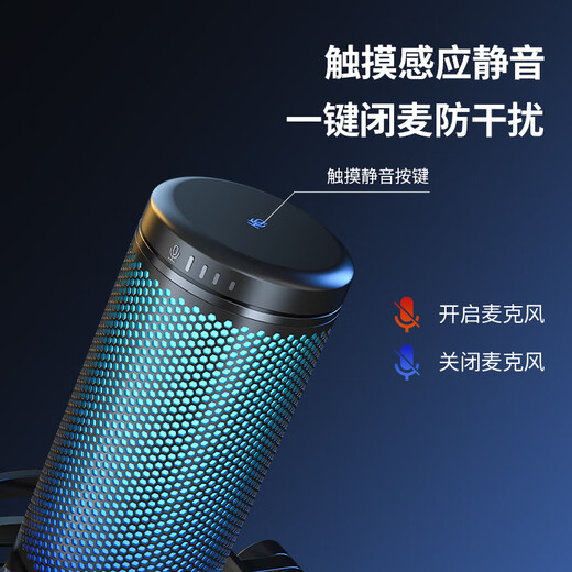 Newmine ZM09 Computer Microphone Professional Radio Microphone Game Noise Reduction Microphone Desktop Desktop USB Microphone Voice Live Karaoke Video Conference Dubbing Professional Condenser Microphone