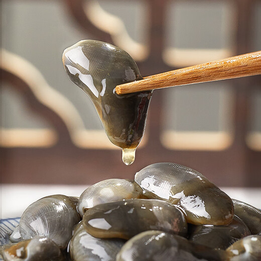 Fresh Xili mud snail ready-to-eat canned yellow mud snail fresh extra large drunk mud snail raw pickled Zhoushan specialty Ningbo seafood conch without sand large drunk mud snail 300g