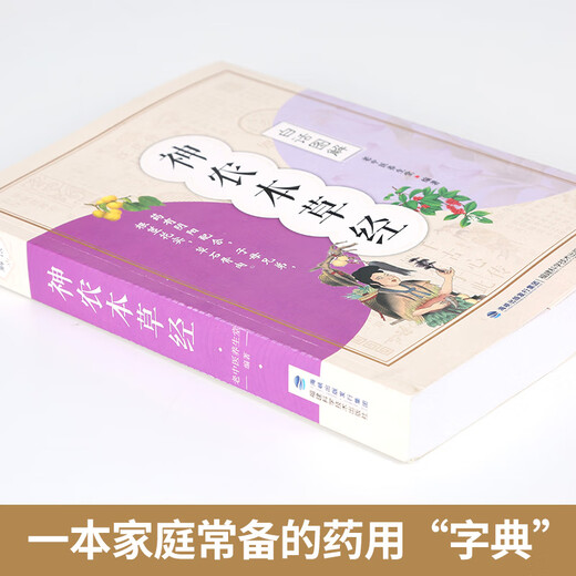 【正版】中医推拿按摩书 全2册 图解经络穴位+对症按摩大百科彩图版 零基础学会推拿按摩书籍手法 图解：神农本草经