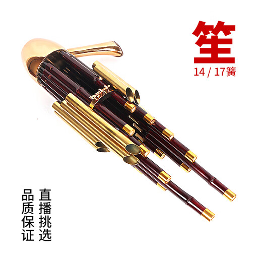 Qi est 17 Instruments de musique d'amplification printemps 14 printemps, outils de culture de Sheng Sheng Sheng Sheng Bag débutants 14 Spring Laquer Gold Dousheng [Purple Bamboo Sheng Seedling Yellow Pipe]