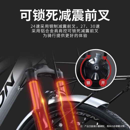 飞鸽（FLYING PIGEON）长途旅行自行车铝合金蝴蝶把成人男女公路车变速城市通勤单车跑车 旅行800-蓝图24速-线碟 变色龙蓝