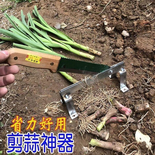 Yue Li's special scissors for cutting garlic. Garlic shearing machine for cutting garlic roots. New knife and garlic head artifact. Household manganese steel thickening tool. Thickening and sharpness - Garlic shearing artifact. 99% labor saving.
