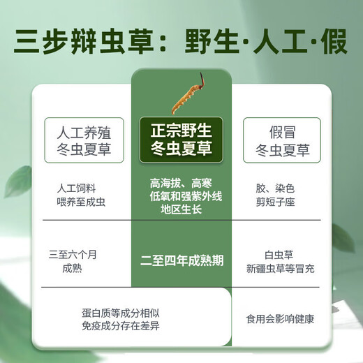 国坤堂 野生冬虫夏草西藏那曲新干野生虫草礼盒5根/g5g约25根