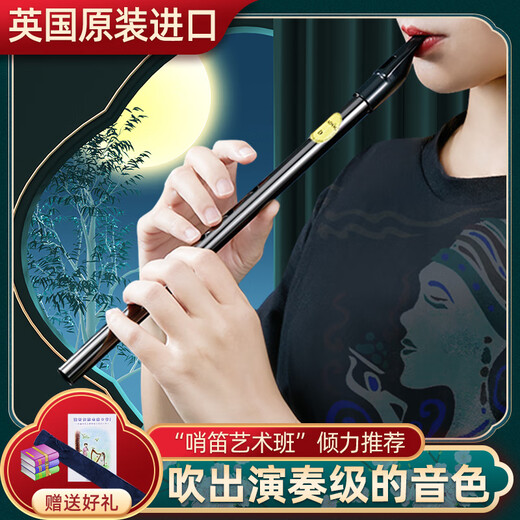 Shanbei British Feadog Feidao Irish Whistle Zinn Flöte C Tune D Melodie Junior Student Whistle Whistle My Heart Ewige Flöte Musikinstrument Farbe Farbe D Tune (blau) + Verwenden Sie Lehrbuch + Elektro