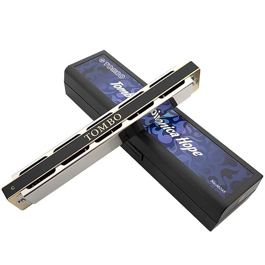 Tongbao Tongbao Harmonische echte 6624S Polyphonische Anfänger C-Tuning High-End-Performance-Aufzeichnung von Artefaktprofessionalinstrument 12-Tuning 24-Loch #F-Tuning (polyphonische 24-Loch)