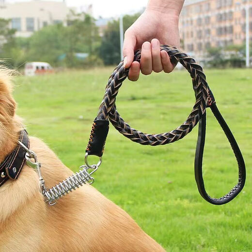 PPO genuine leather collar cowhide dog chain explosion-proof dog leash medium and large dog golden retriever German shepherd dog walking rope collar red brown L size - suitable for 25-70 Jin Jin equals 0.5 kg.