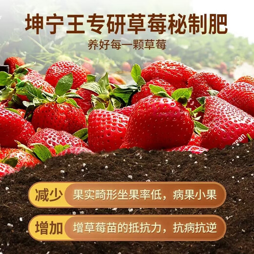 Strawberry special nutrient soil strawberry organic fertilizer special soil strawberry seedlings potted balcony planting soil strawberry special nutrient soil 10Jin Jin is equal to 0.5 kg