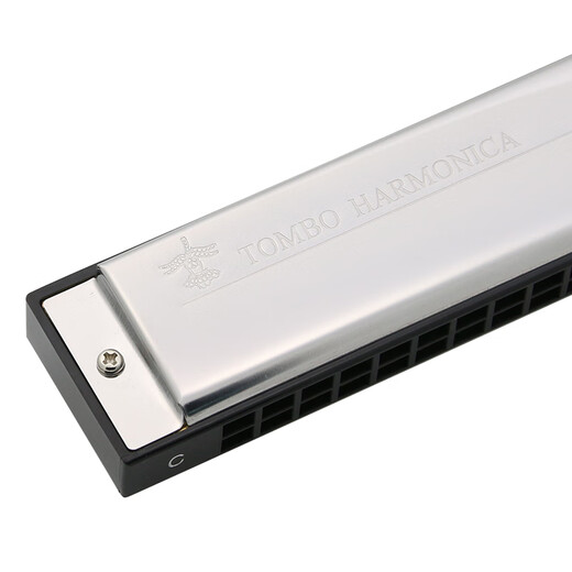 Tongbao 21 hole polyphonic harmonica for children adult beginners C tune introductory playing musical instrument imported gong 6621 hole 21 hole - #D (E flat) tune