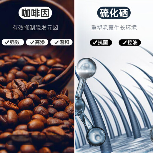 SHEVEU赛逸二硫化硒生姜咖啡因无硅油去屑止痒控油防脱洗发水露橙375ml