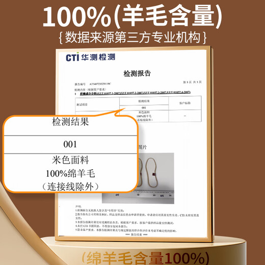 Antarctic 3 pairs of warm wool insoles, felt, men's sweat-absorbent, breathable cotton and linen women's thickened casual leather shoes, 100% wool 42