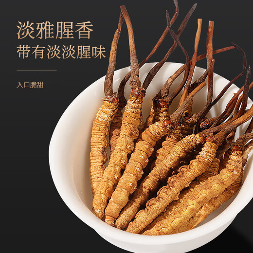 Fudonghai cordycep