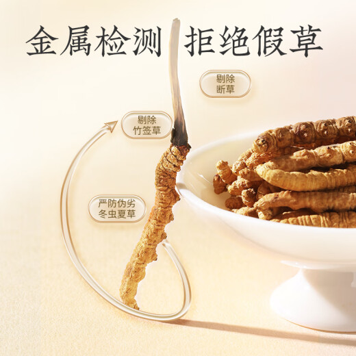 同仁堂品牌冬虫夏草约5根/g2g约10根高端营养营养滋补品长辈北京同仁堂