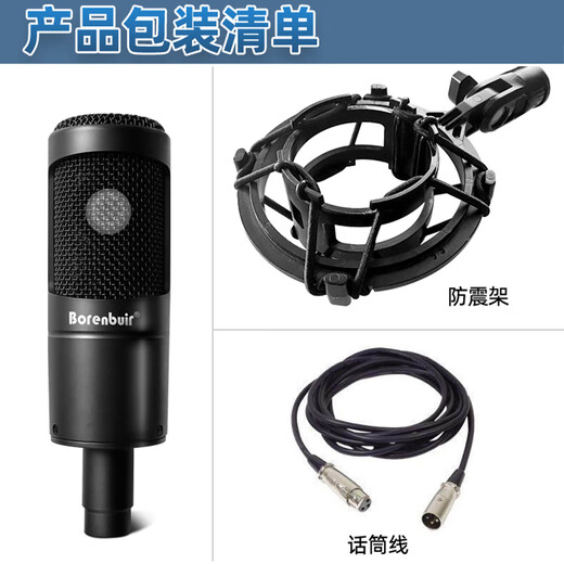 Burren Bell BL-500 condenser microphone audiobook recording equipment professional anchor recitation dubbing broadcast set recording studio grade BL-500 + Yamaha UR12 set (book recording recommended)